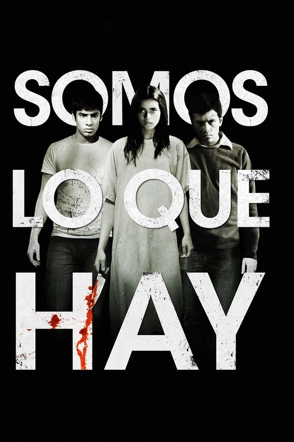 Somos lo que hay (2010)