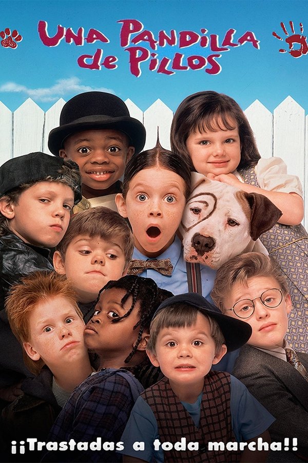 Una pandilla de pillos (1994)