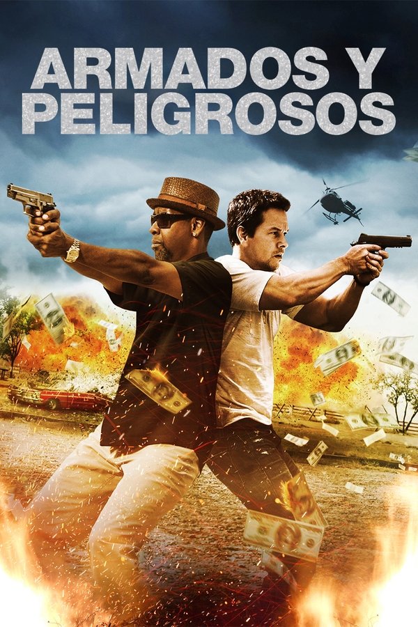 2 Guns (2013)