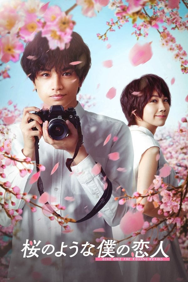 桜のような僕の恋人 (2022)