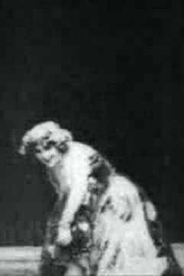 Karina (1902)