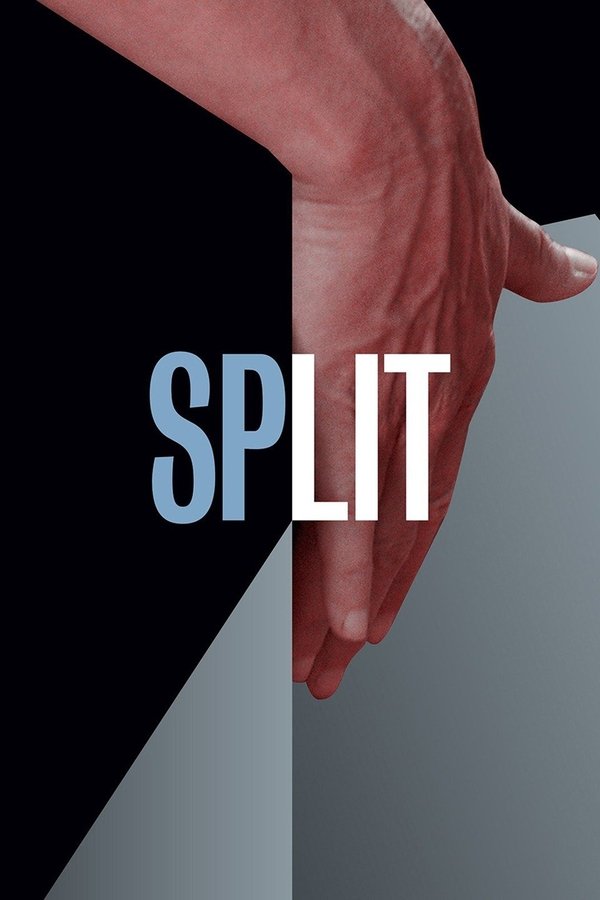 Spy  Una espía despistada (2015).mp4