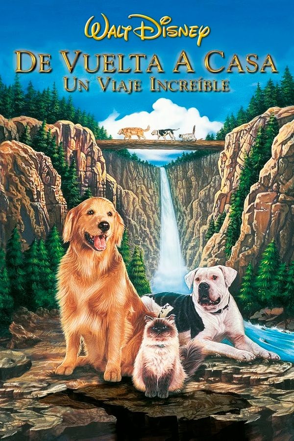 De vuelta a casa: Un viaje increíble (1993)
