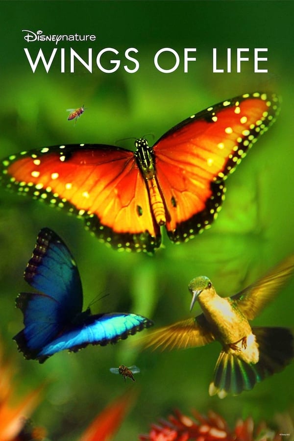 Wings of Life (2011)