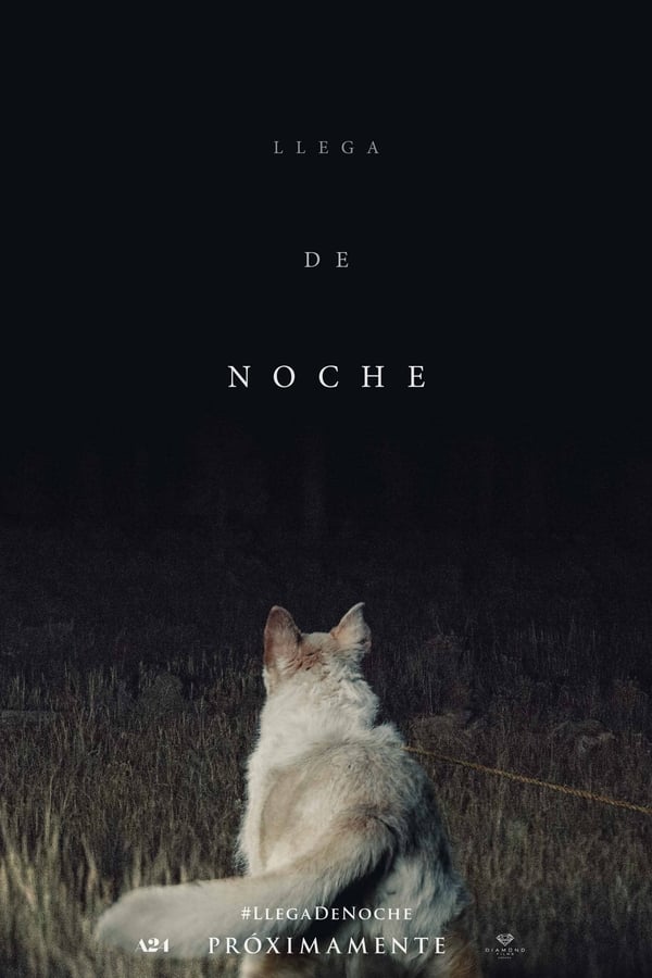 Llega de noche (2017)