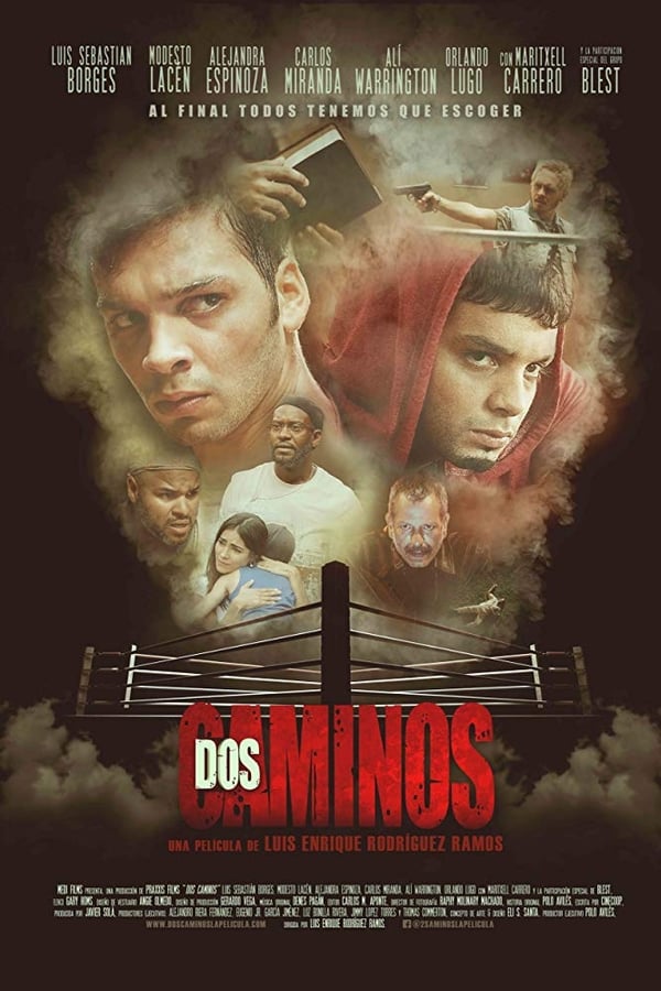 Dos caminos (2017)