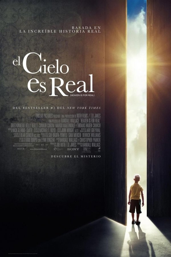 El cielo es real (2014)