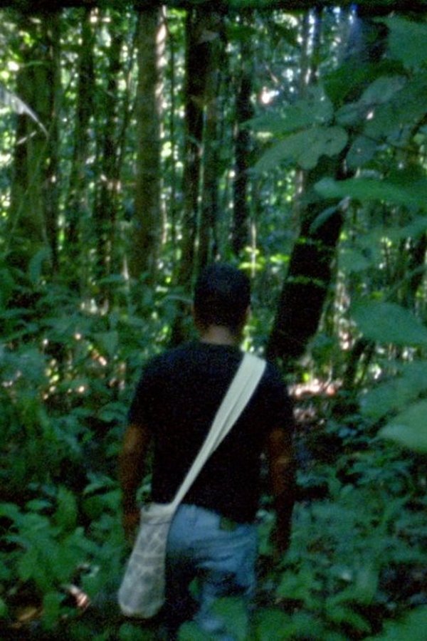 El Laberinto (2018)