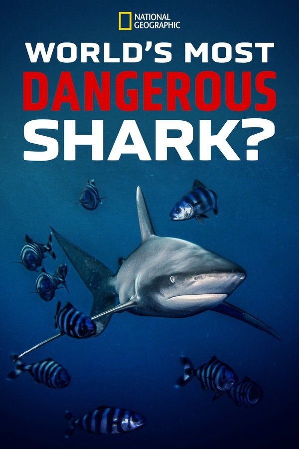 World's Most Dangerous Shark? (2021)