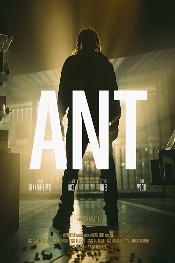 Antes del amanecer (1995)
