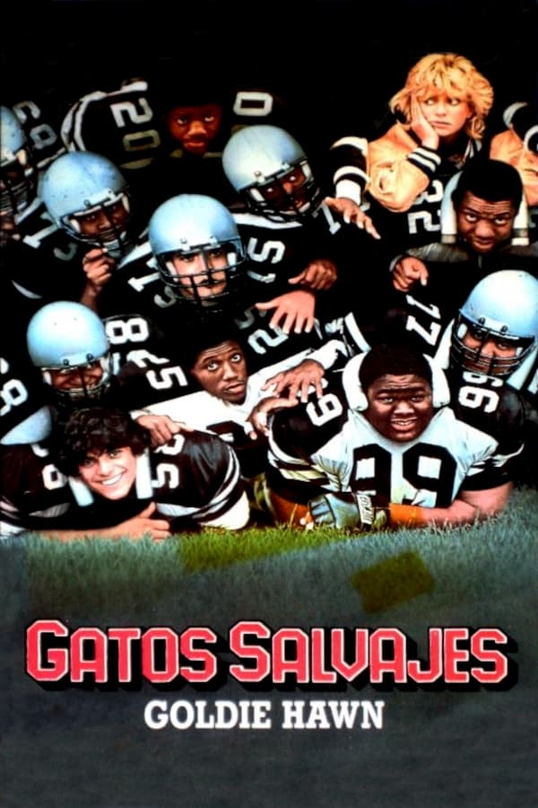 Gatos salvajes (1986)