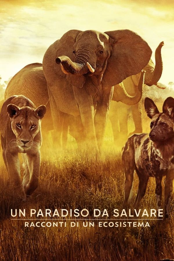 El paraíso que sobrevive: Un legado familiar (2022)